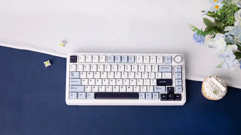 The Coder's Keyboard Quest: Find Your Perfect Typing Companion