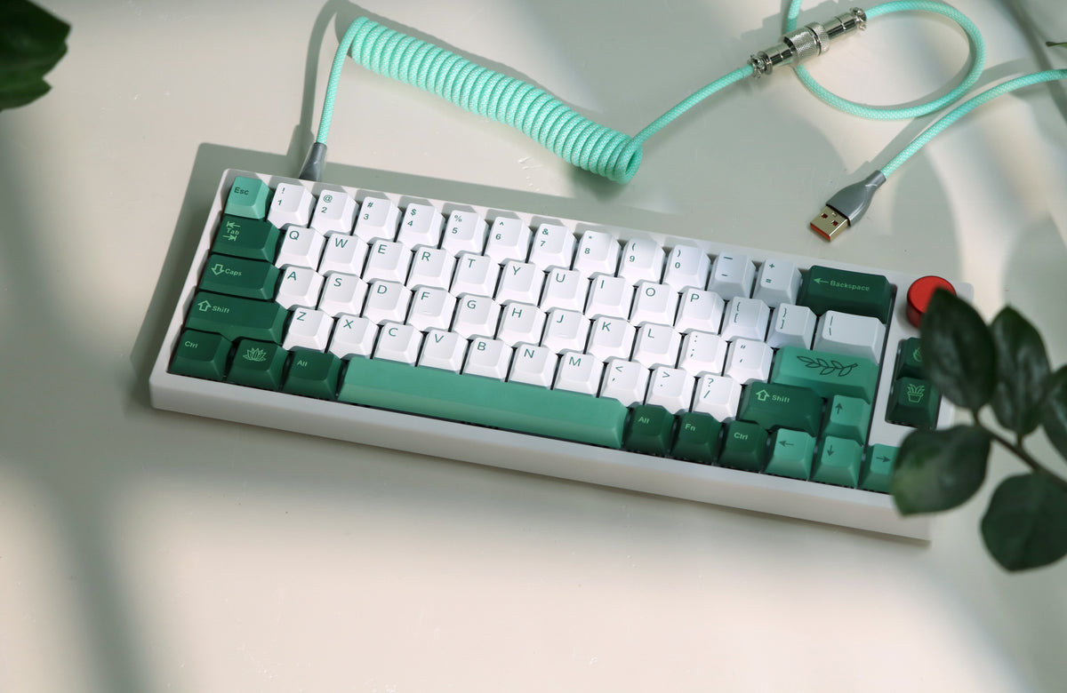 The Ultimate Guide for Buying a Mechanical Keyboard
