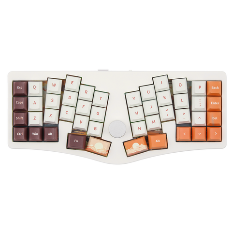 Alice40
