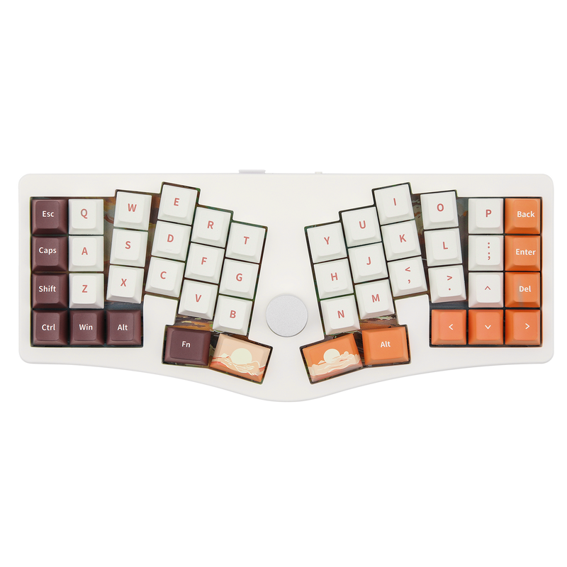 Alice40