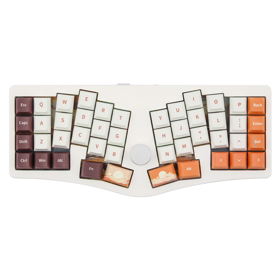 Alice40