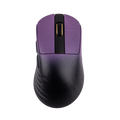 Black Purple