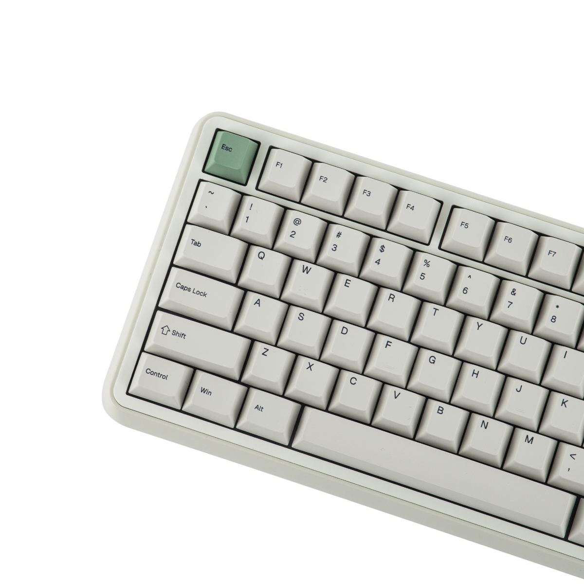 Dettaglio dei keycap della EPOMAKER RT100 Pro