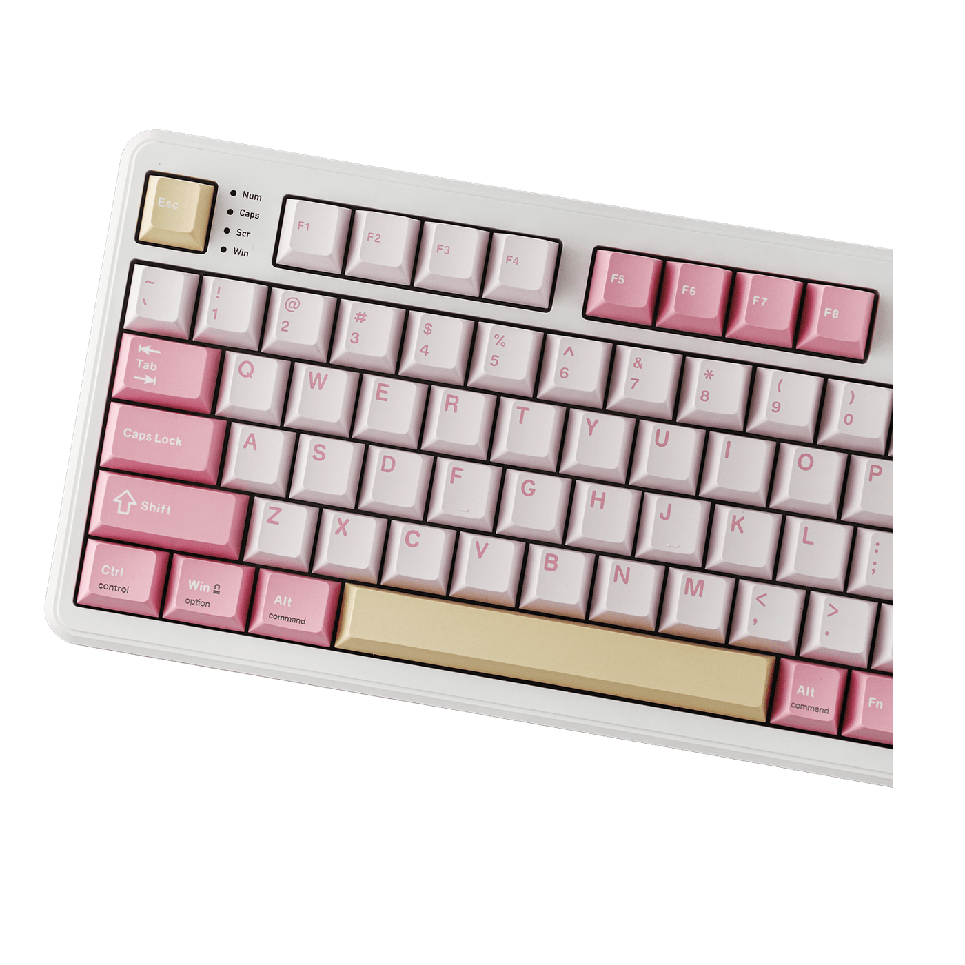 EPOMAKER TH99 PRO close-up of WASD, Esc, and function row, Pink colorway