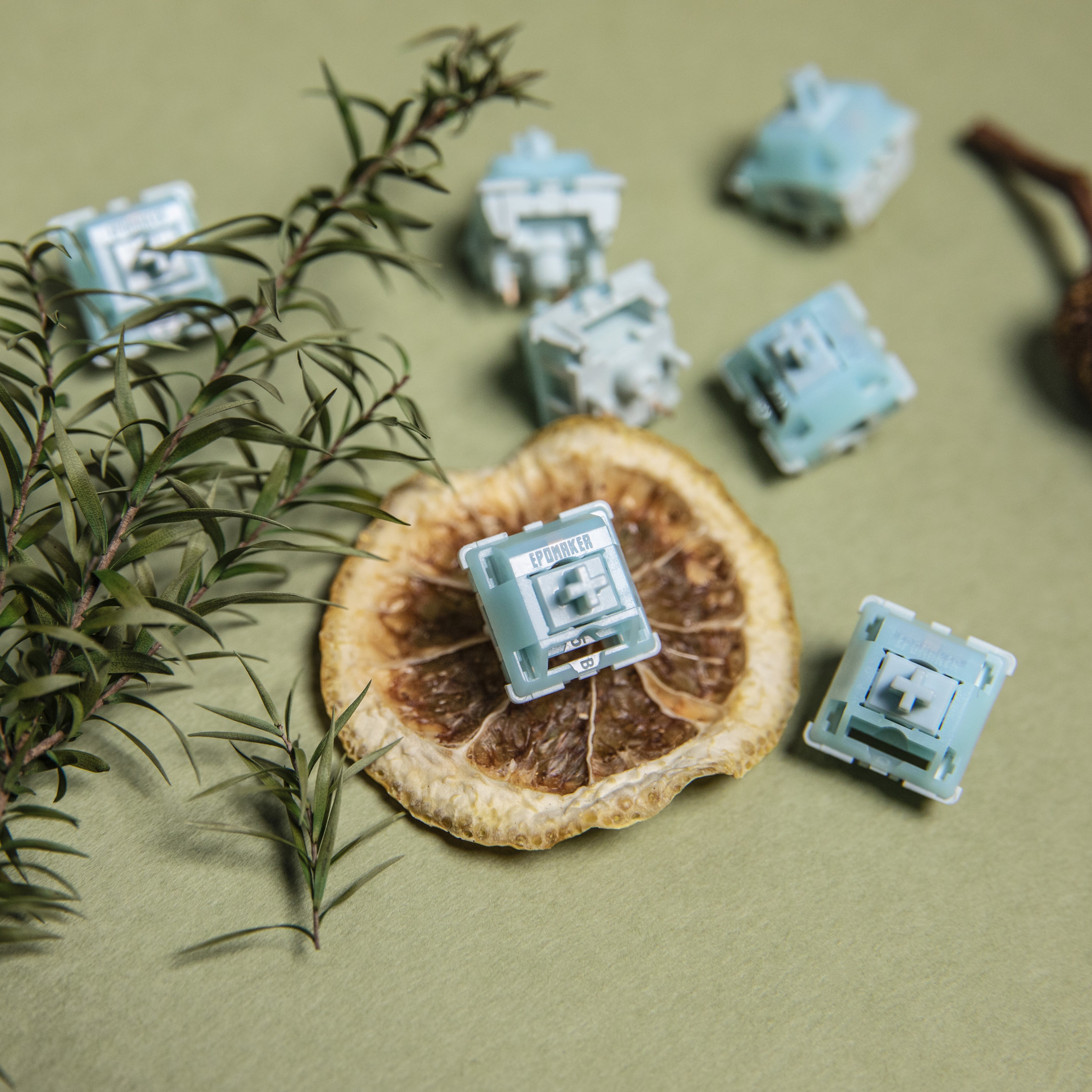 Switches – epomaker