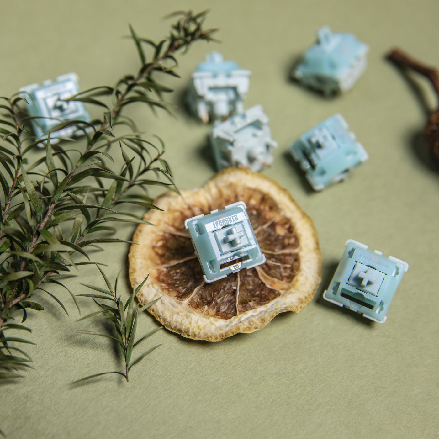 EPOMAKER Creamy Jade Switch Set — top-down view