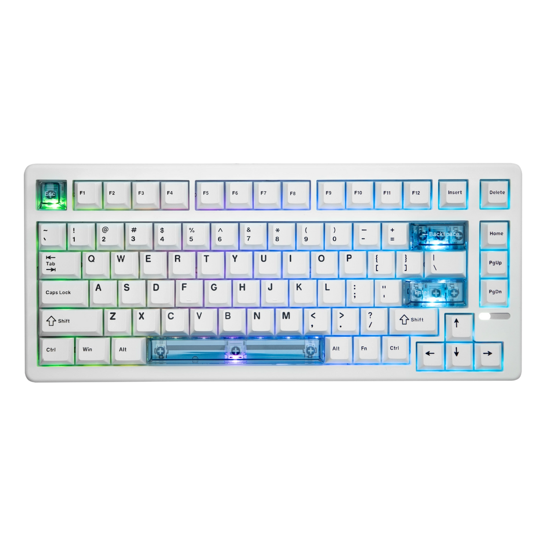 HE80 + Click Lite Mouse Bundle