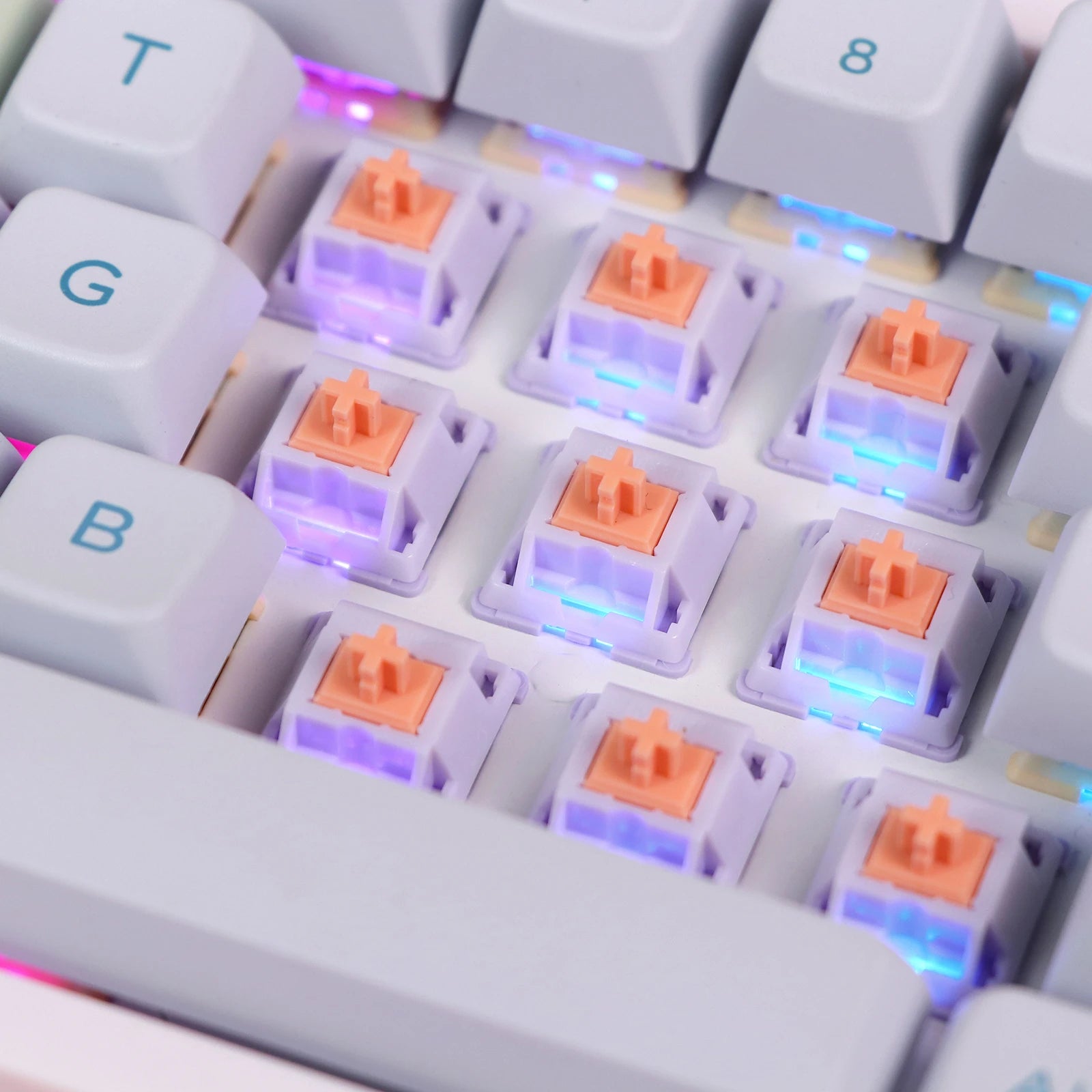 EPOMAKER Wisteria Switches Set